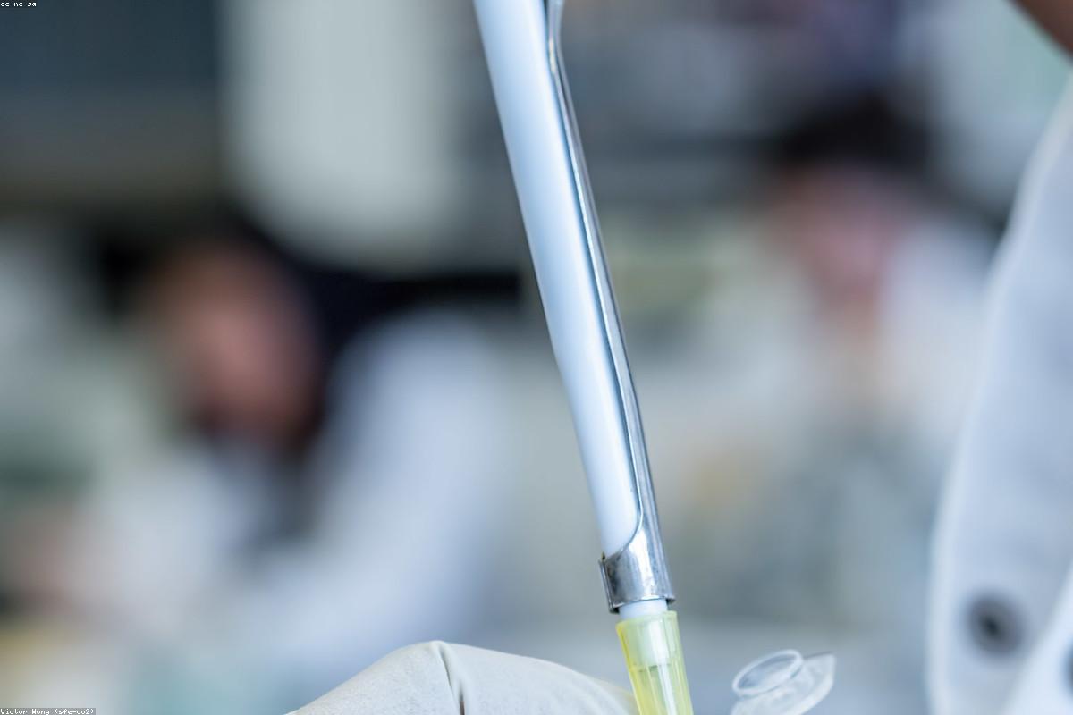 This "will-o'-the-wisp" cooked from urine is half life and half death
